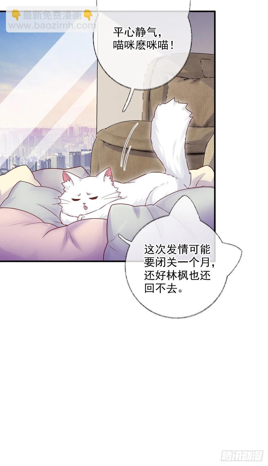还是我不对劲喵~-第36话
