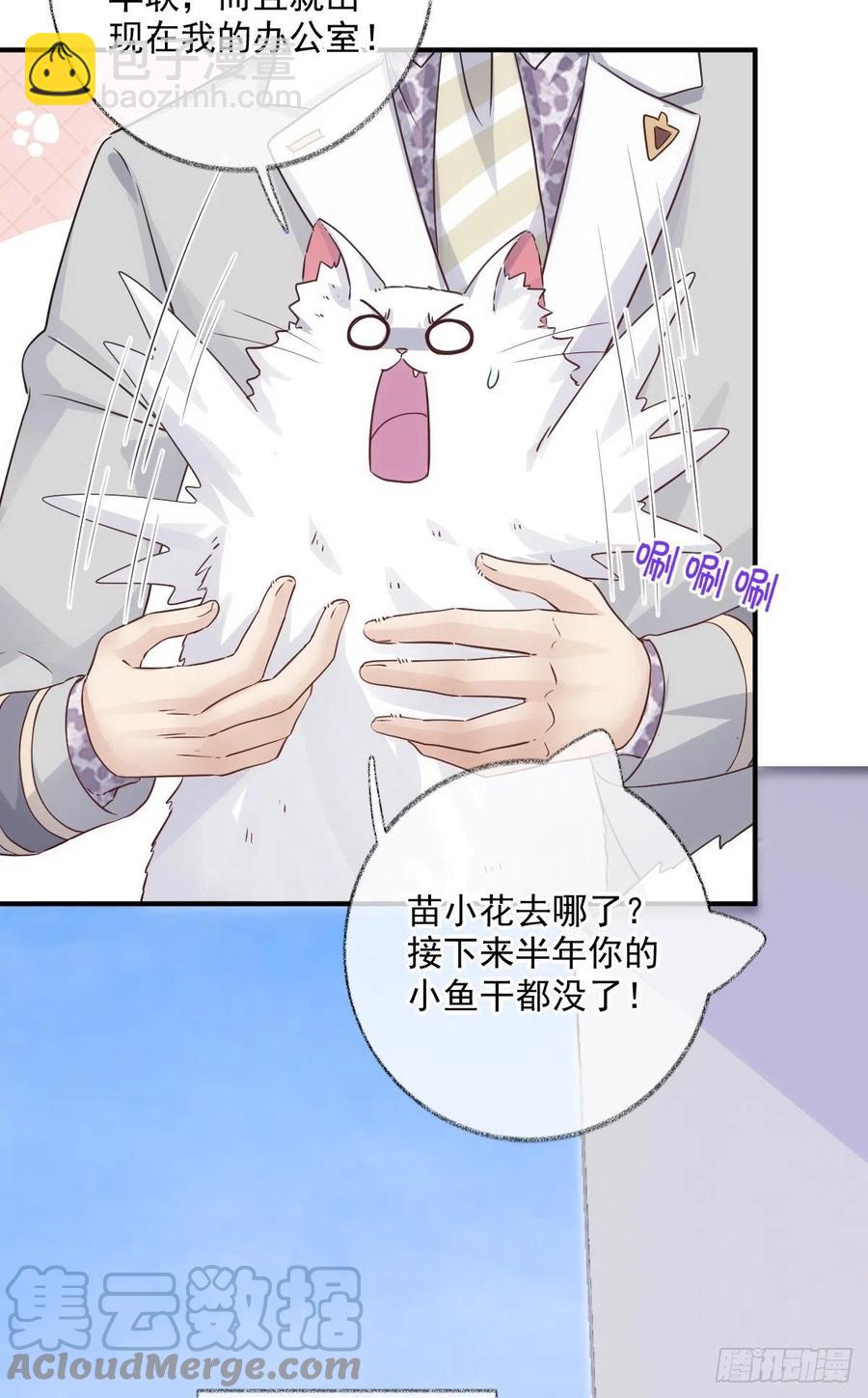 还是我不对劲喵~-第36话
