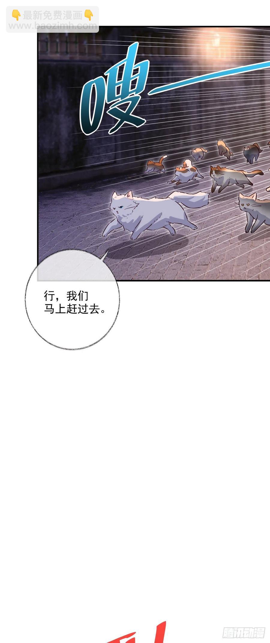 来不及了喵~-第48话