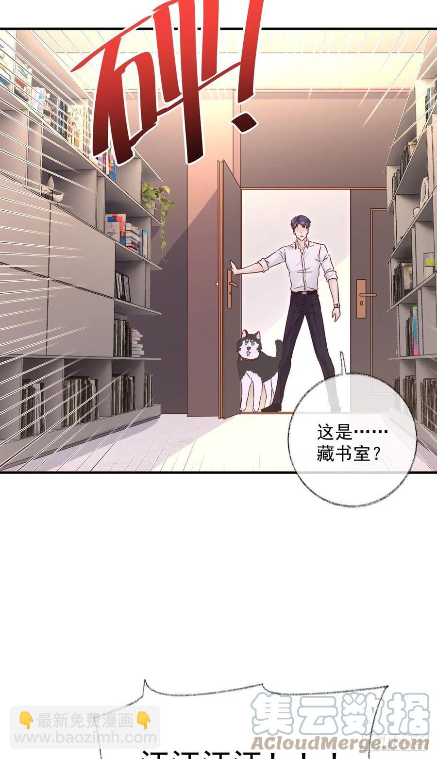 来不及了喵~-第48话