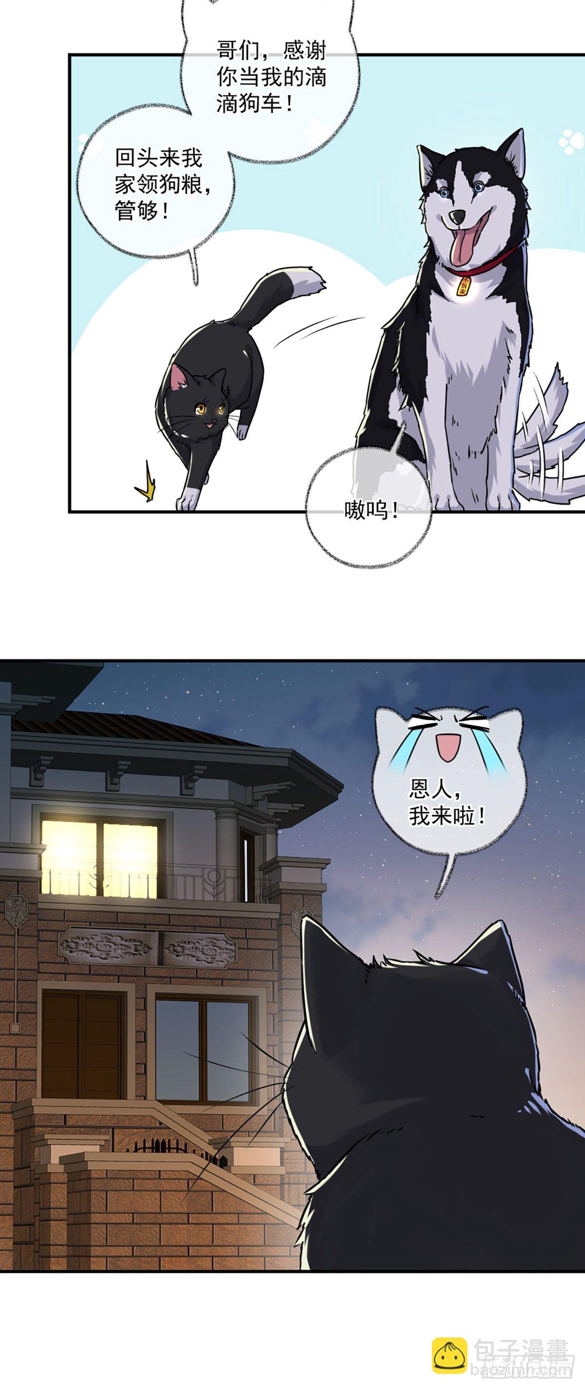 嘀嘀狗车-第6话