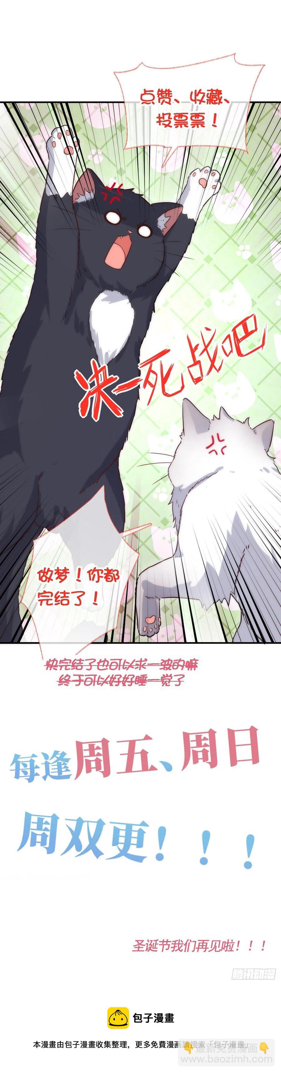 未来可期喵~-第50话