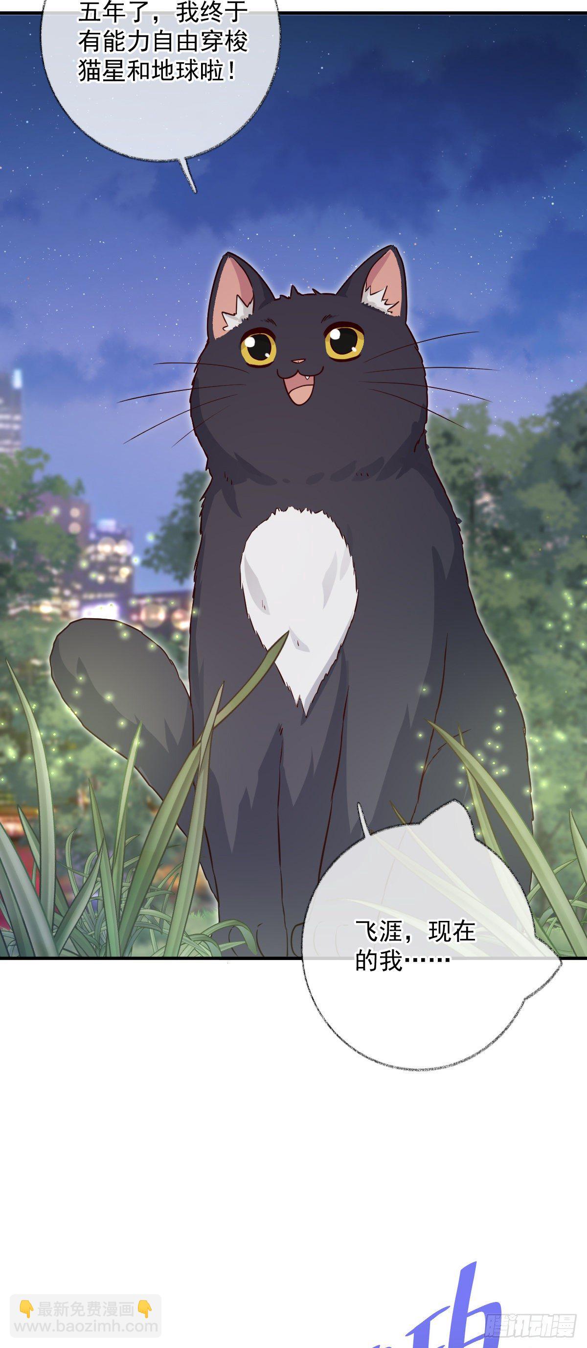 完结：一如初见喵~-第46话
