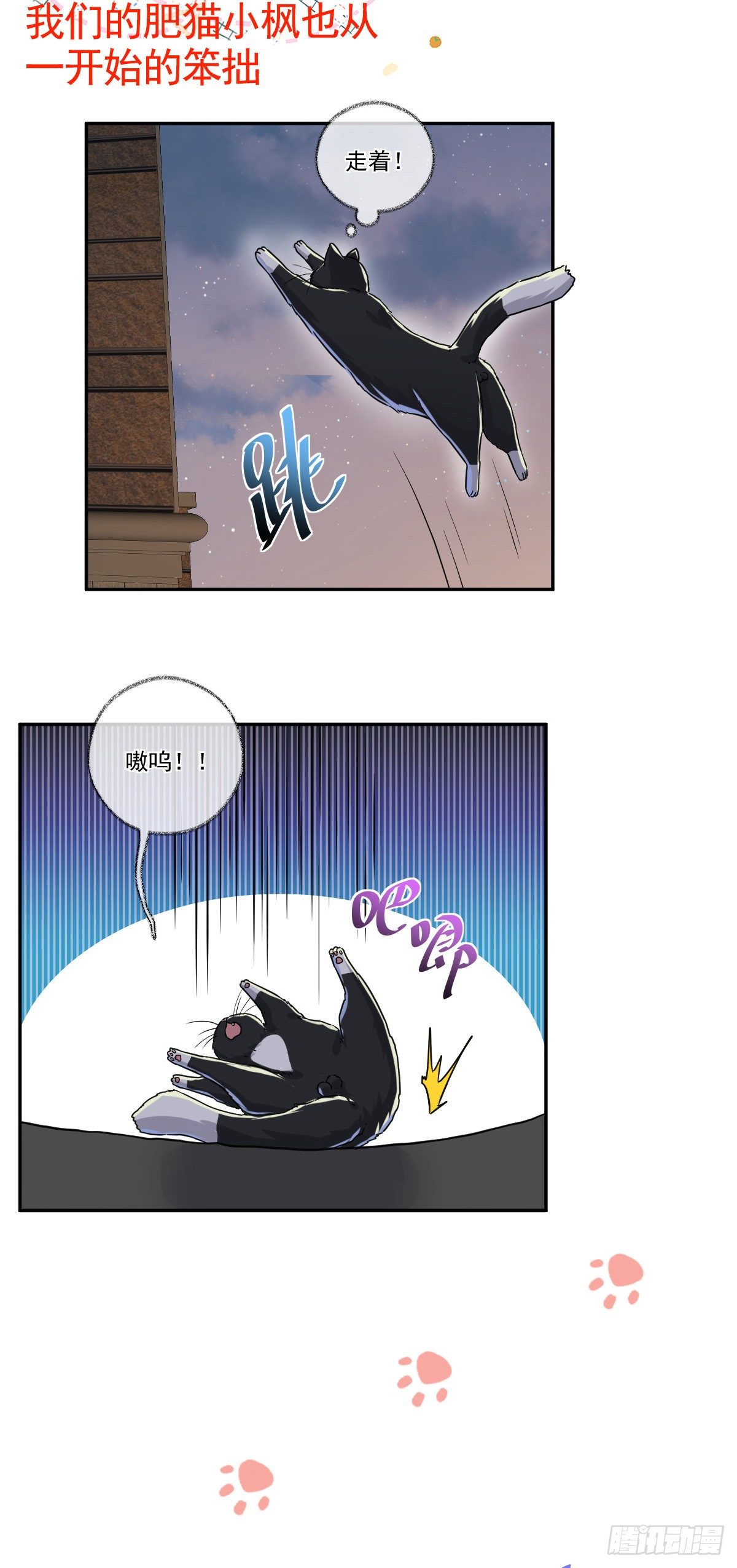 完结：一如初见喵~-第46话