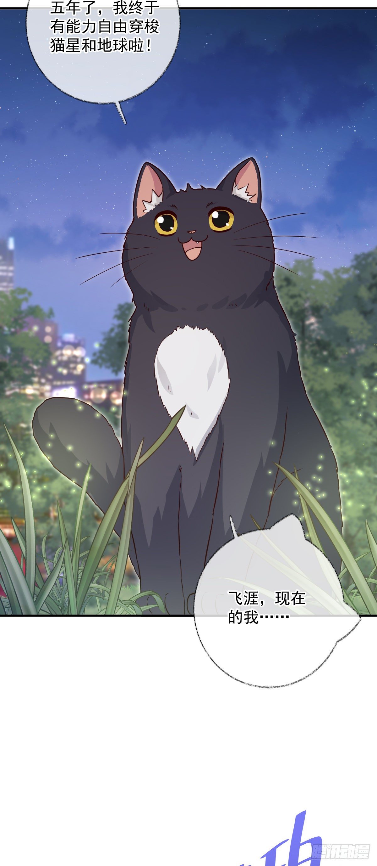 一如初见喵~-第42话