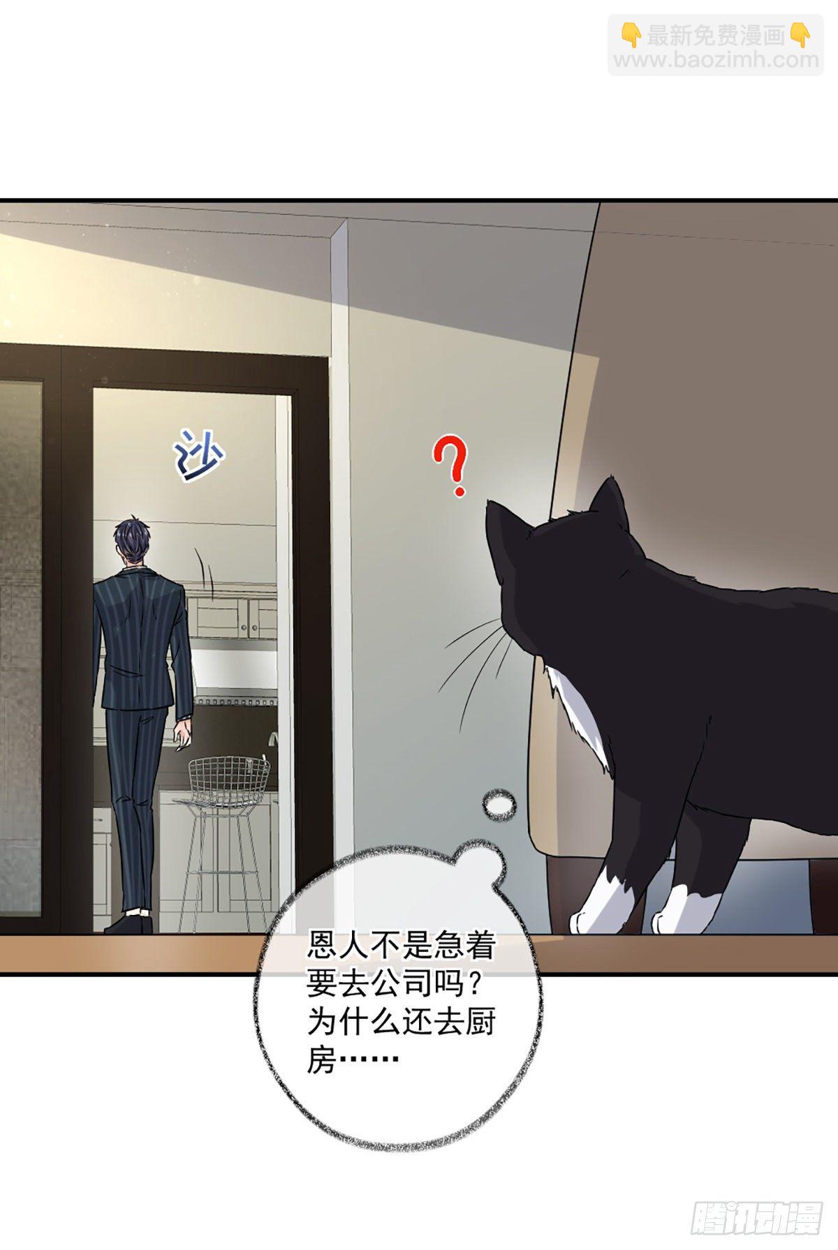 不要赶我走喵~-第8话