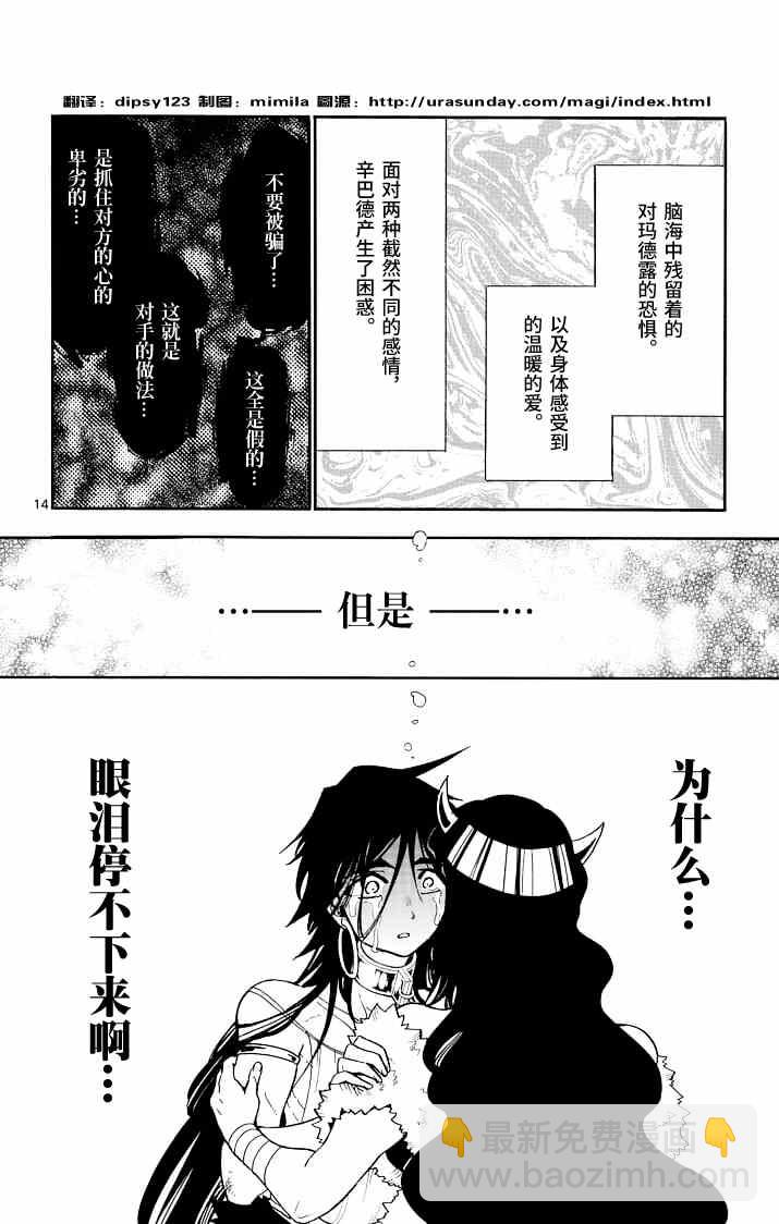 🍚辛巴达的冒险 第70话 第14页