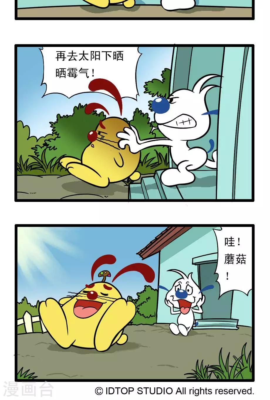 6.jpg