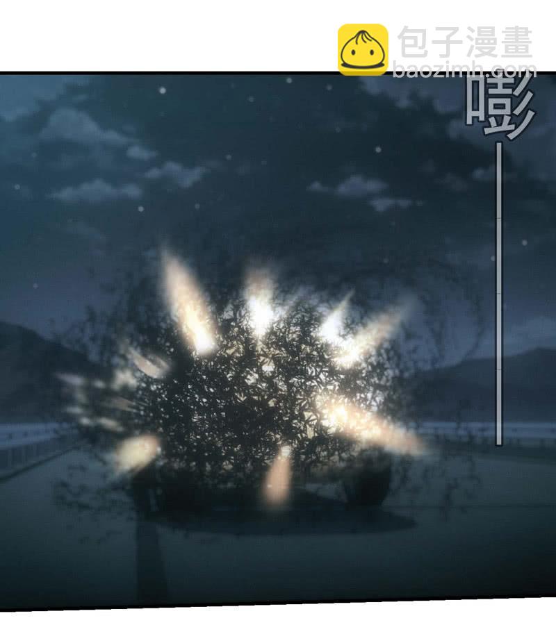死徒大军(1/2)-第192话