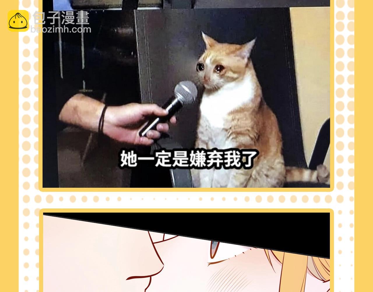 🍚星辰于我 第38期 一波梗图来袭！ 第13页