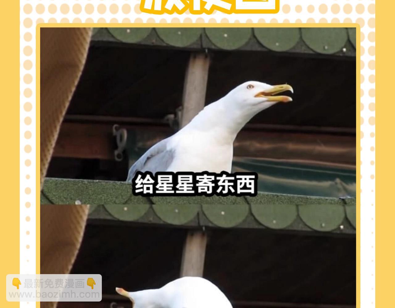 🍚星辰于我 第38期 一波梗图来袭！ 第3页