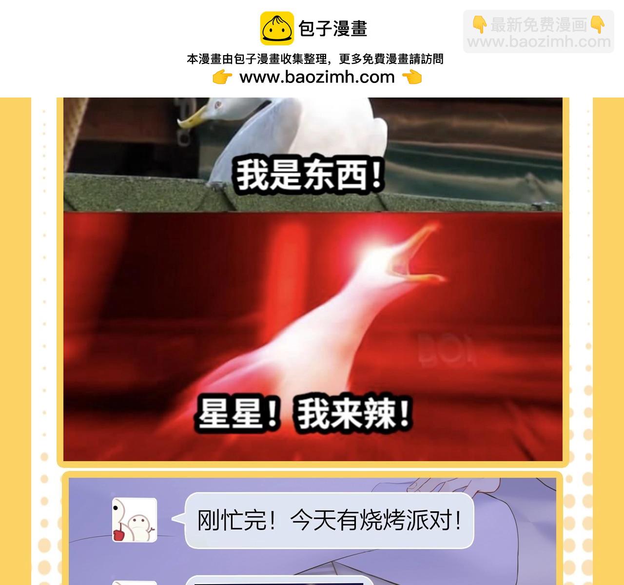 🍚星辰于我 第38期 一波梗图来袭！ 第4页