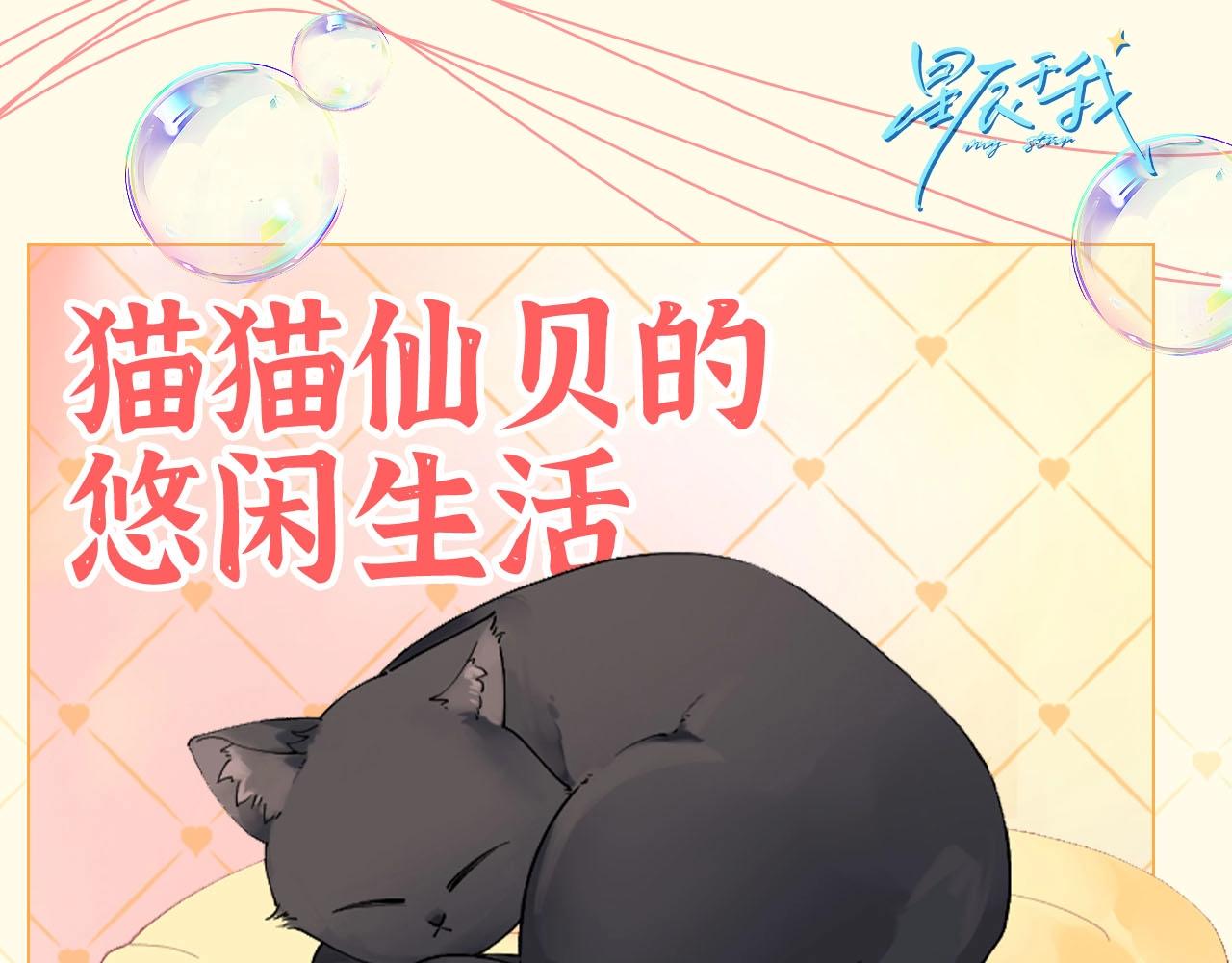 🍚星辰于我 第40期 猫猫仙贝的悠闲生活 第1页