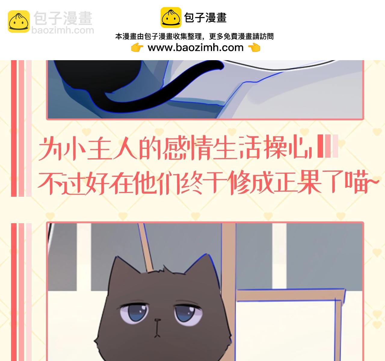 🍚星辰于我 第40期 猫猫仙贝的悠闲生活 第10页