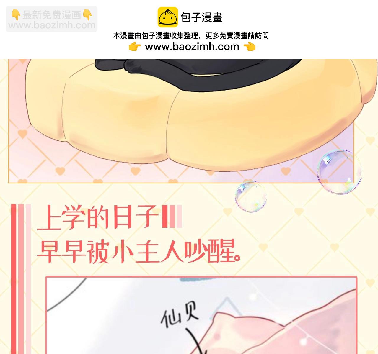 🍚星辰于我 第40期 猫猫仙贝的悠闲生活 第2页