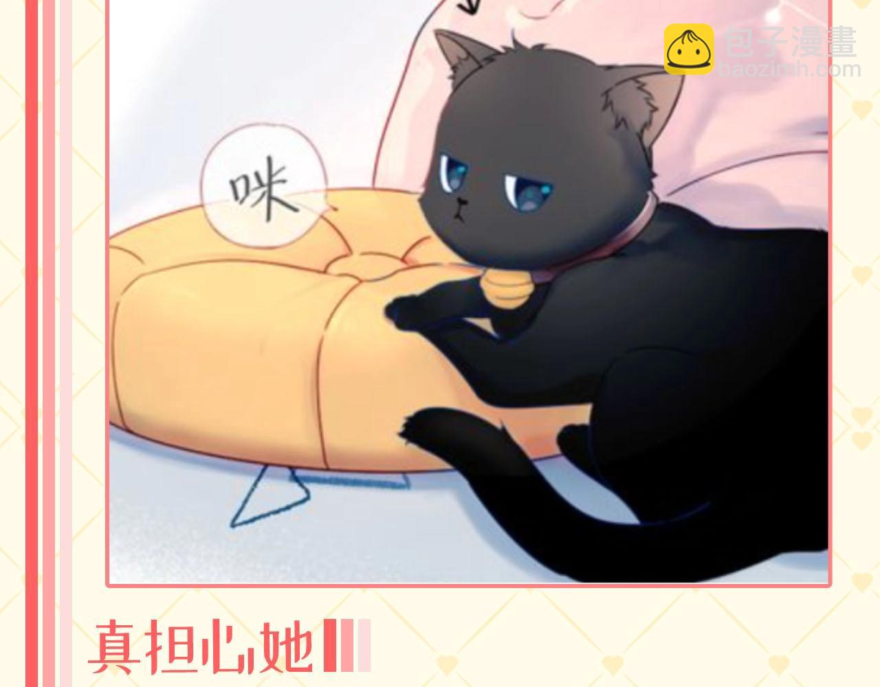🍚星辰于我 第40期 猫猫仙贝的悠闲生活 第3页