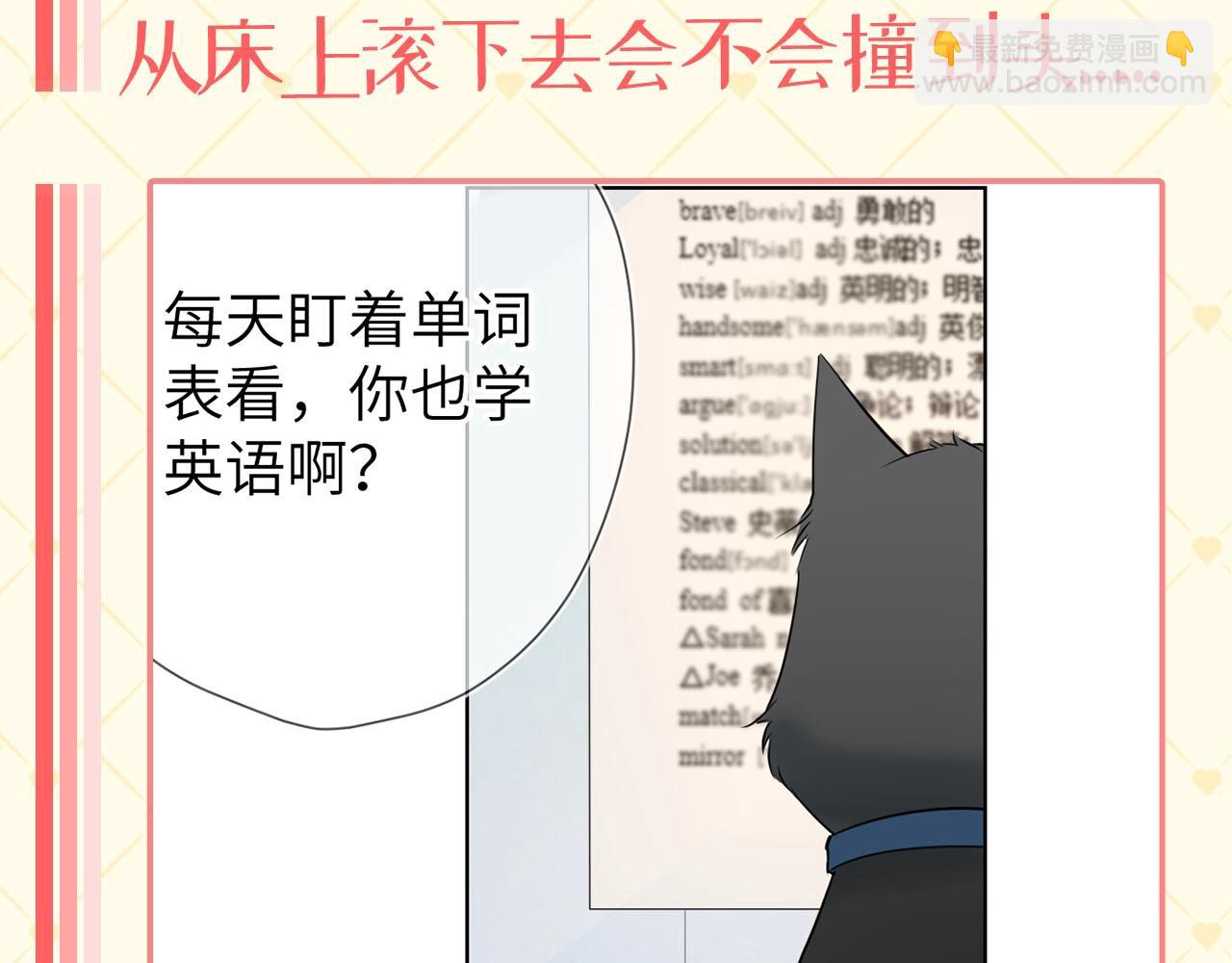 🍚星辰于我 第40期 猫猫仙贝的悠闲生活 第4页