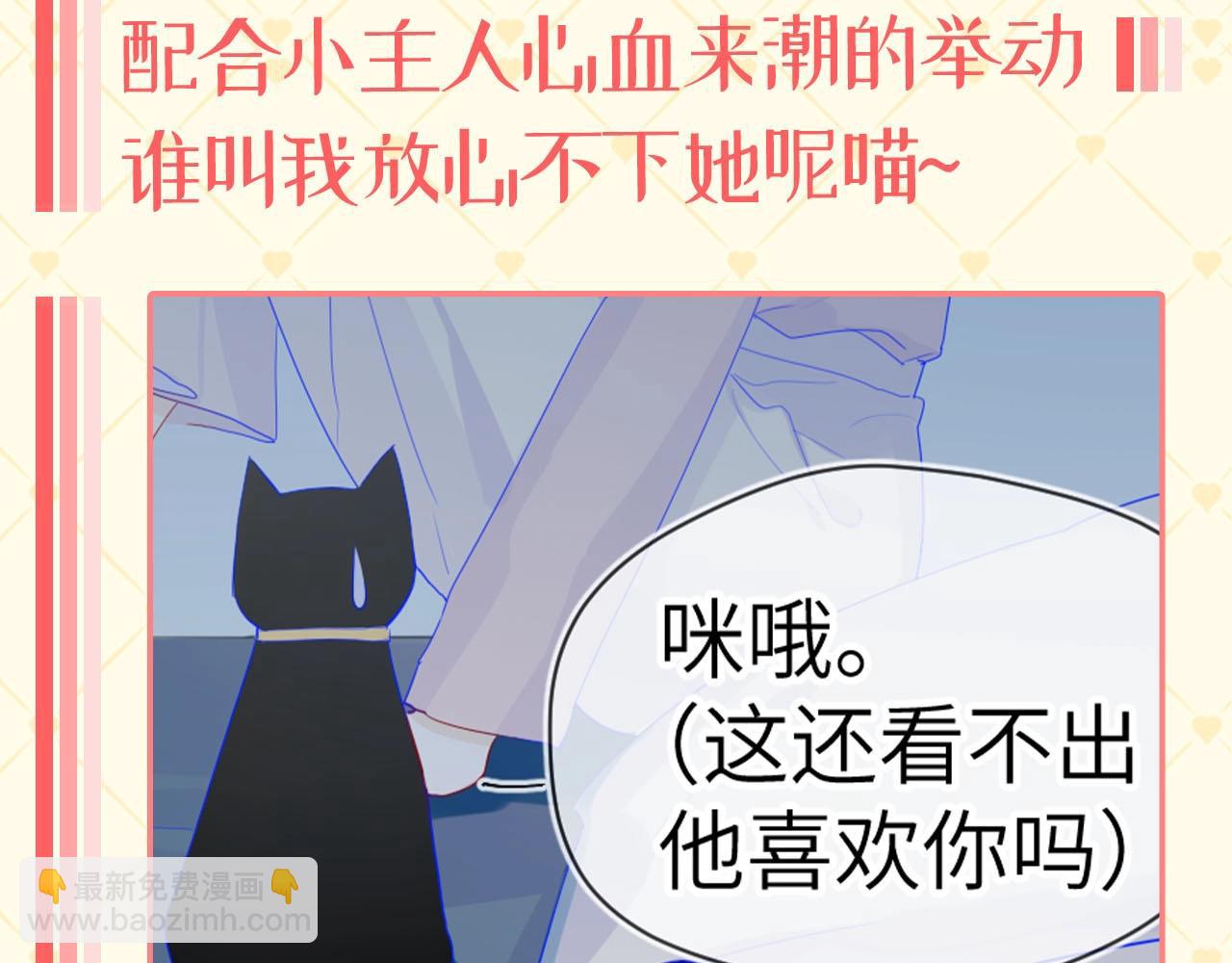🍚星辰于我 第40期 猫猫仙贝的悠闲生活 第9页