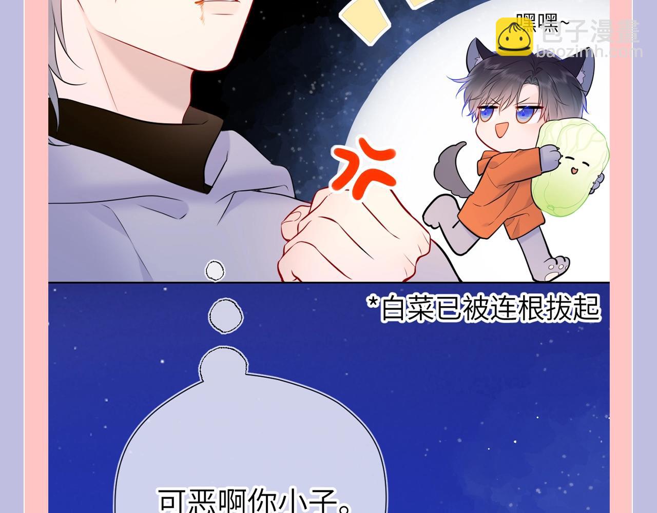🍚星辰于我 第128期 特别企划：星星和司南在一起后，深深受伤的男人们 第11页