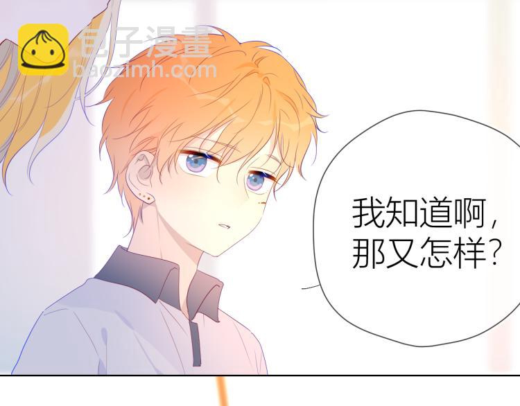 🍚星辰于我 第52话 我们的森林 第19页