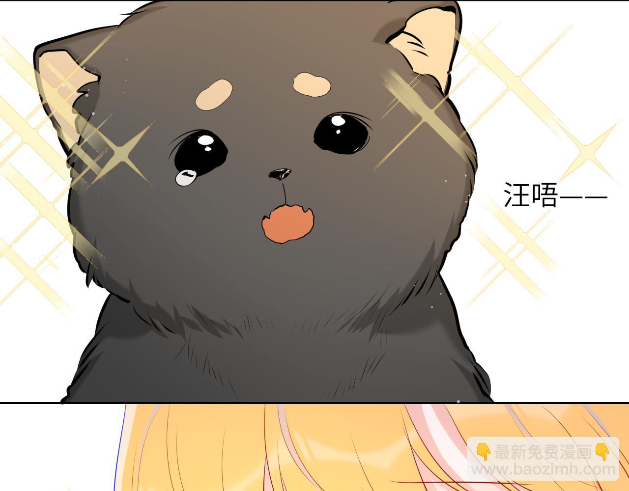 🍚星辰于我 第78话 新家，美少女与狗 第31页