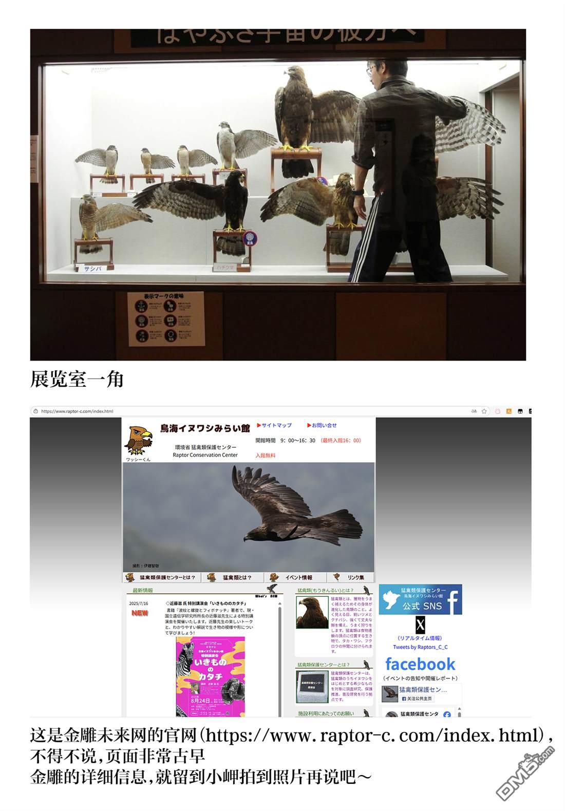 幸福观鸟 - 第48話 - 第10张图