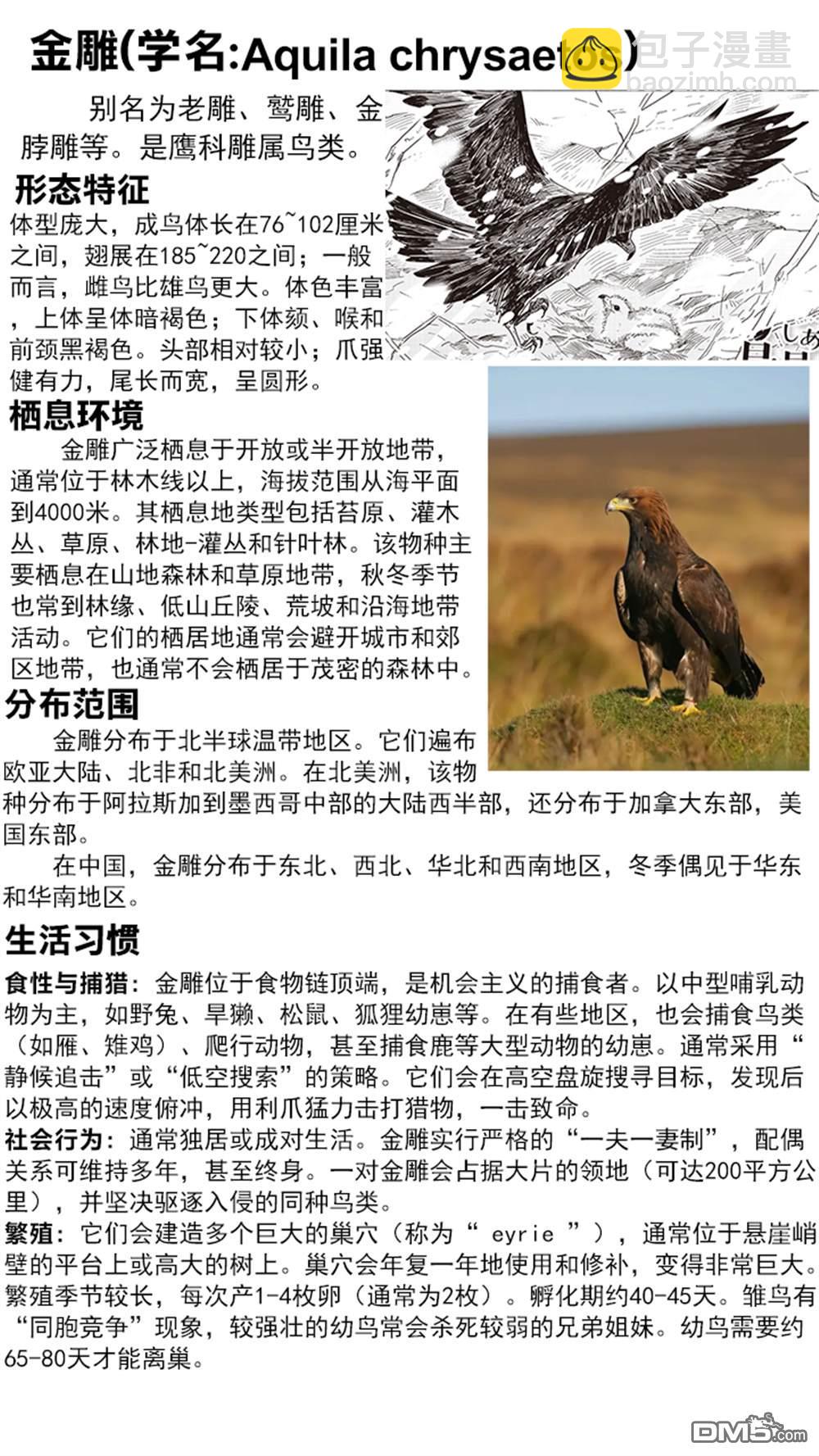 幸福观鸟 - 第50話 - 第7张图