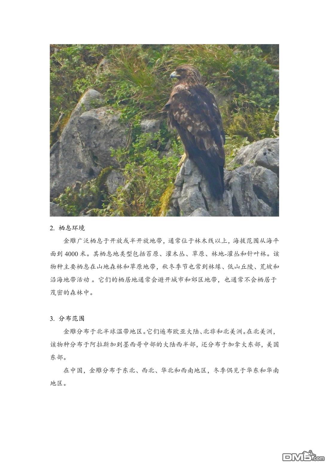 幸福观鸟 - 第51話 - 第11张图