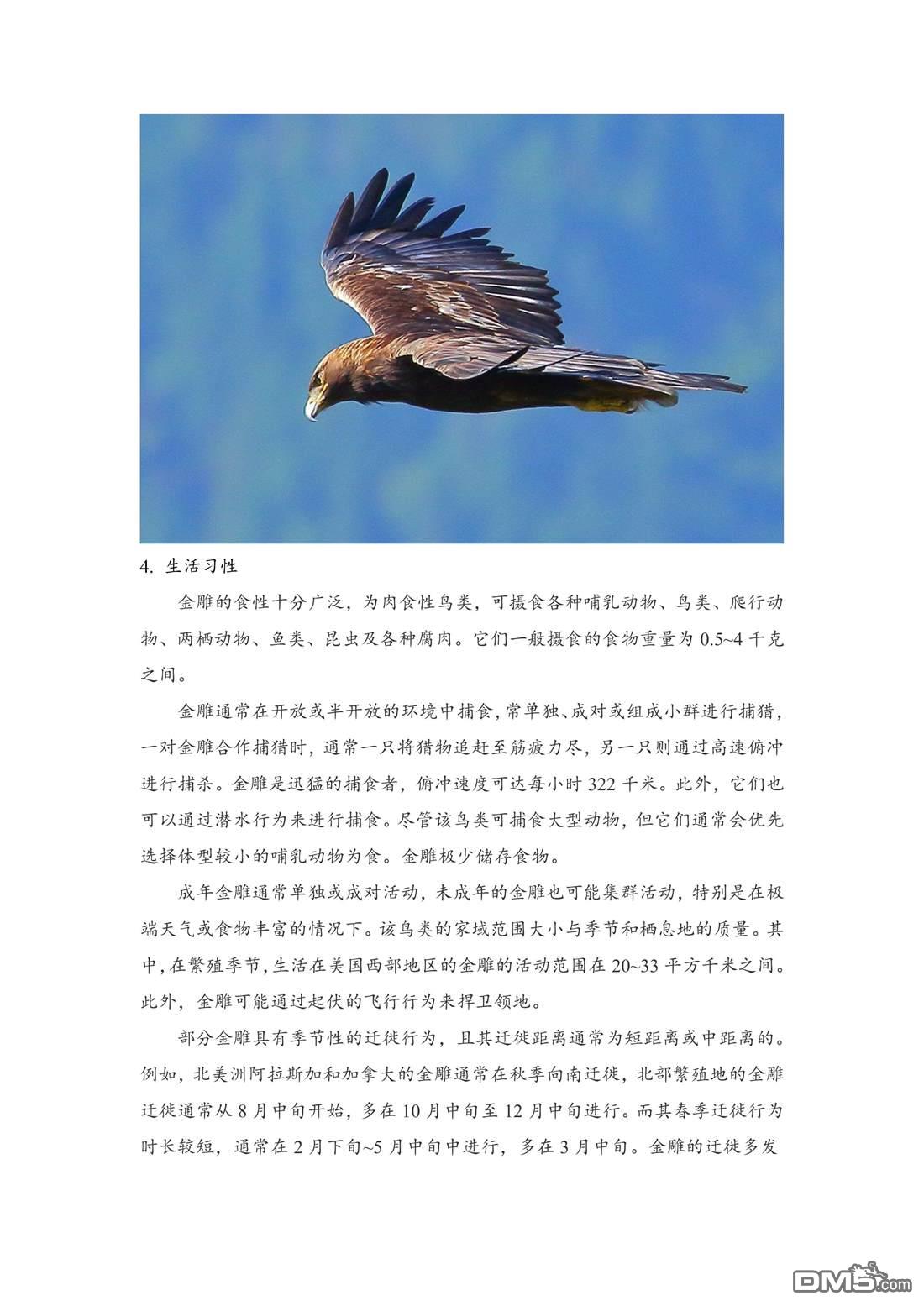 幸福观鸟 - 第51話 - 第12张图