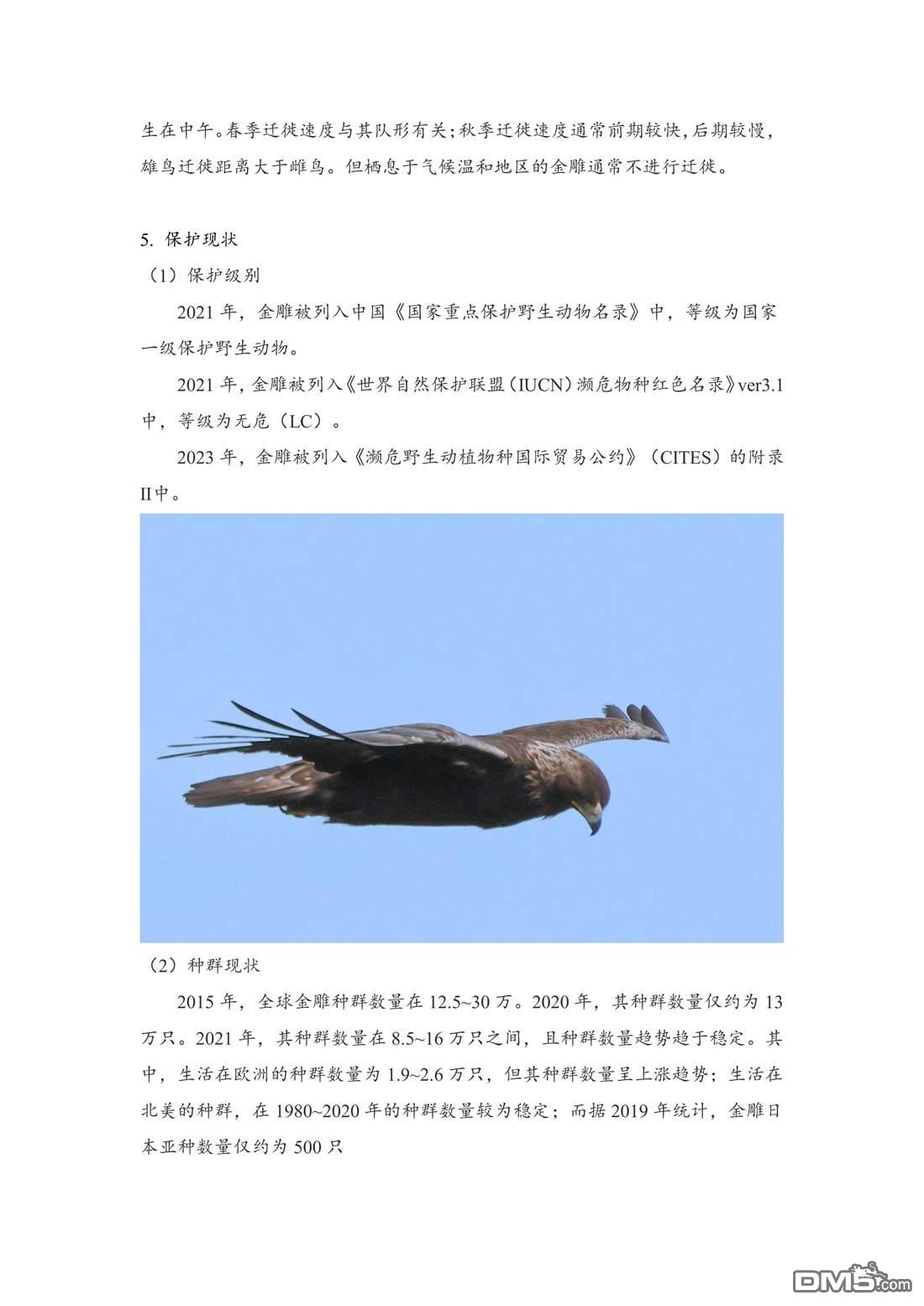 幸福观鸟 - 第51話 - 第13张图