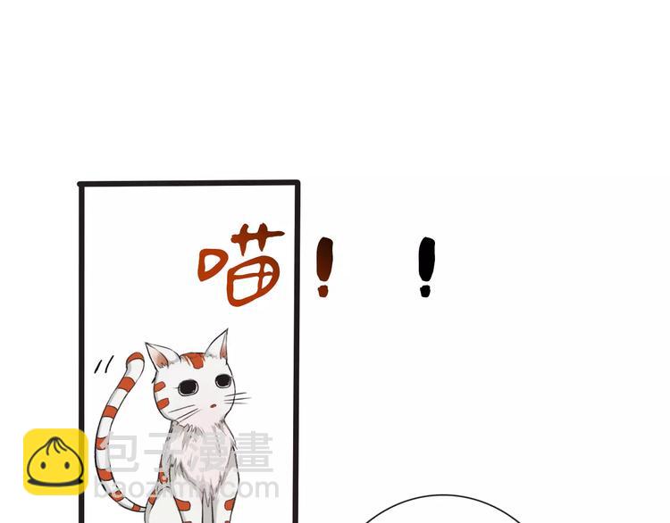 第14话 猫？(1/2)-第14话