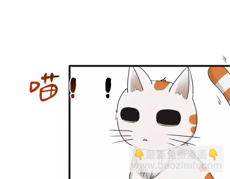 第14话 猫？(1/2)-第14话