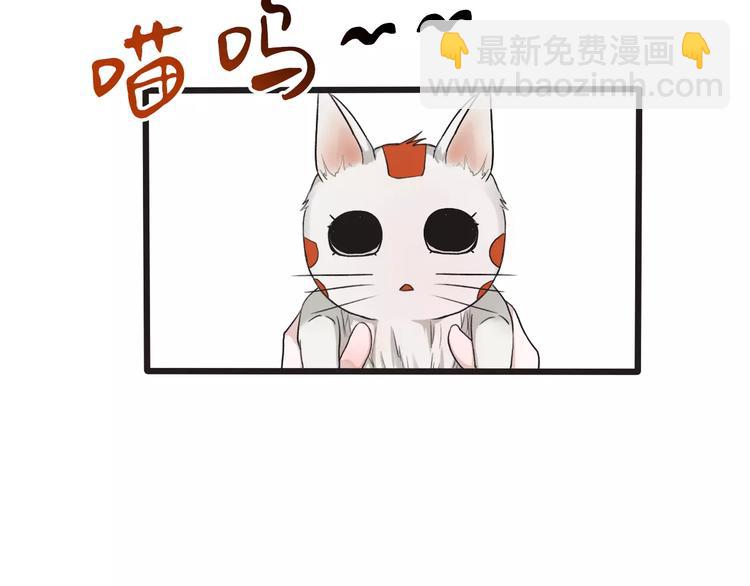 第14话 猫？(1/2)-第14话
