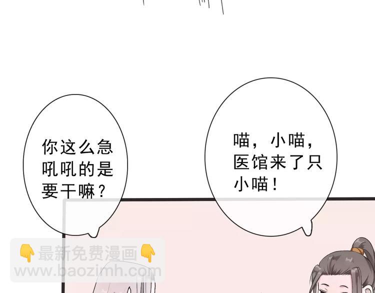 第14话 猫？(1/2)-第14话