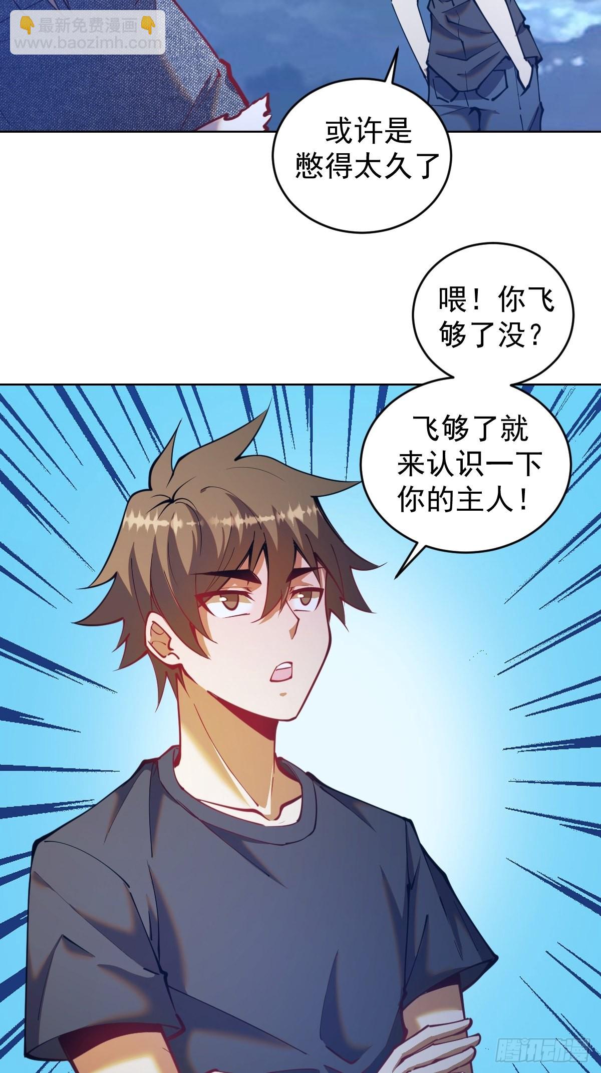第204话：大鹏-第208话