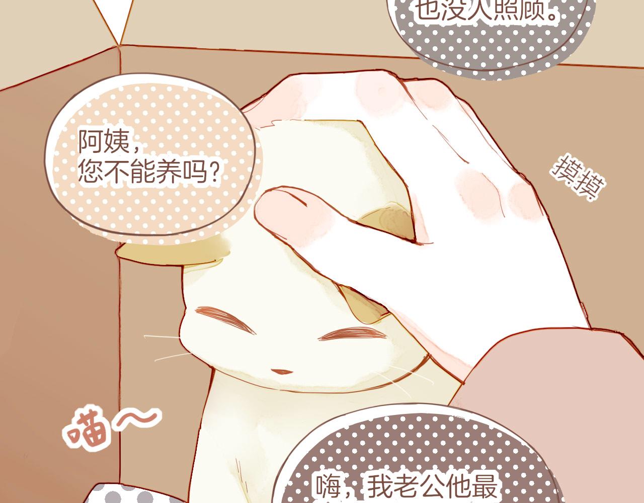第12话 装在盒子里的是秘密（上）(1/2)-第12话