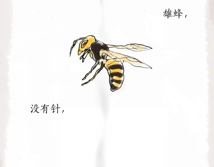 第12话 已经决定(1/2)-第12话