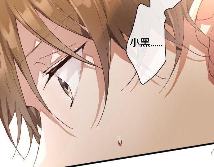第137话 修学旅行和支持(1/3)-第138话