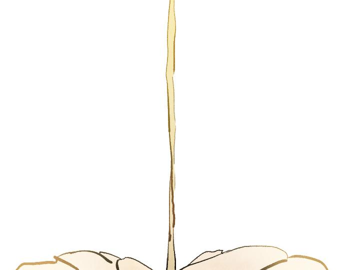 第249话 最终回的终点之始(1/6)-第250话