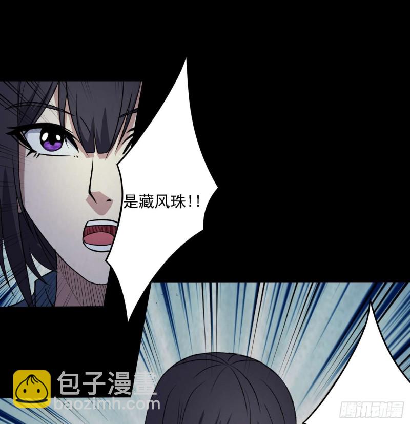 藏风宝珠(1/2)-第80话