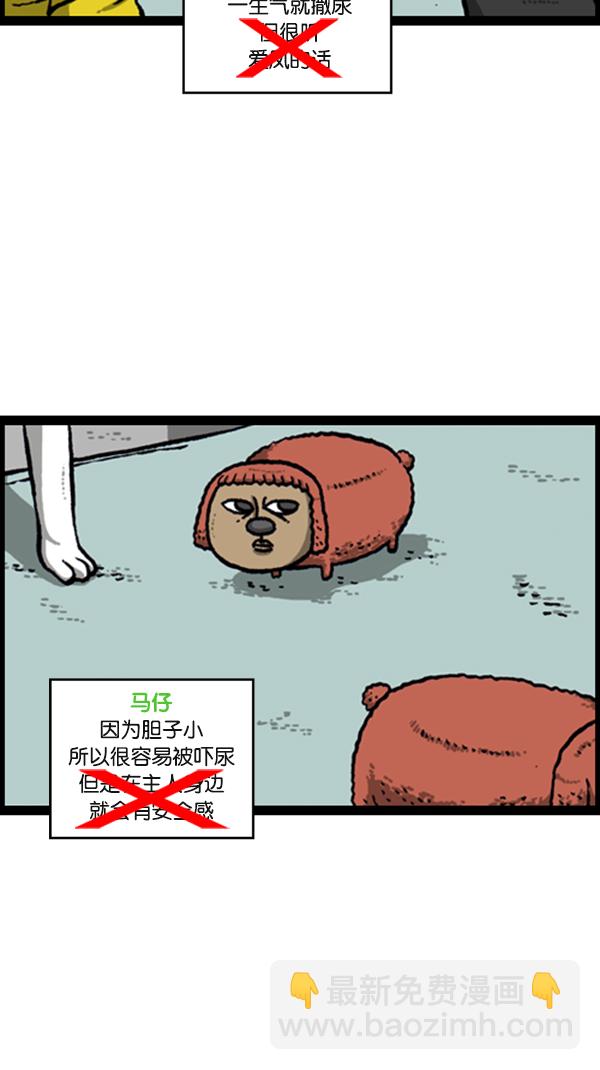 🍚心灵的声音 [第278话] 角斗士 第13页