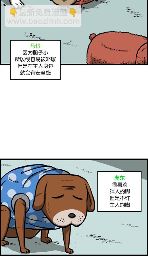 🍚心灵的声音 [第278话] 角斗士 第6页