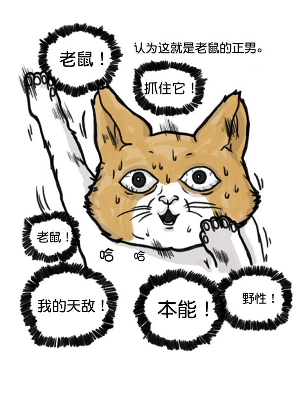 🍚心灵的声音 补充篇 [372话] 金正男的娱乐 第3页