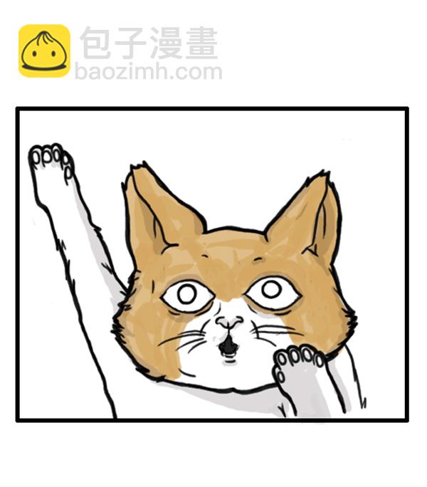 🍚心灵的声音 补充篇 [372话] 金正男的娱乐 第6页