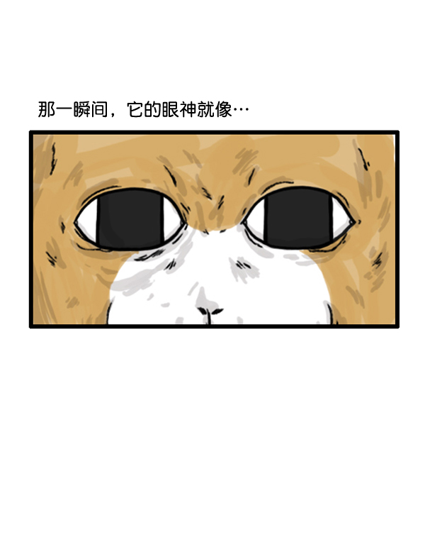 🍚心灵的声音 补充篇 [372话] 金正男的娱乐 第8页