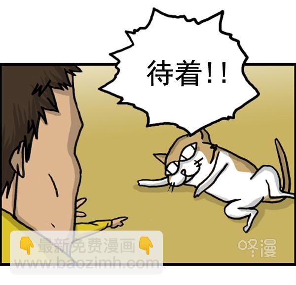 🍚心灵的声音 补充篇 [386话] 忠诚的猫咪 第11页