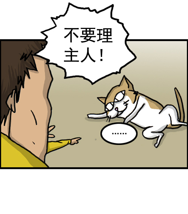 🍚心灵的声音 补充篇 [386话] 忠诚的猫咪 第12页