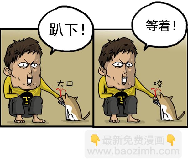 🍚心灵的声音 补充篇 [386话] 忠诚的猫咪 第7页