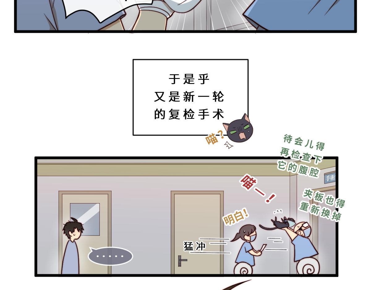 30.各伤一爪-第34话