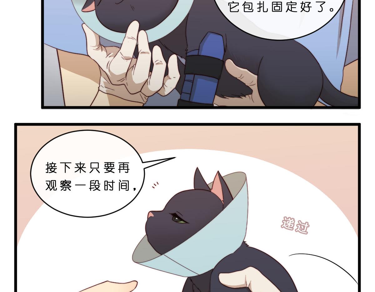 30.各伤一爪-第34话
